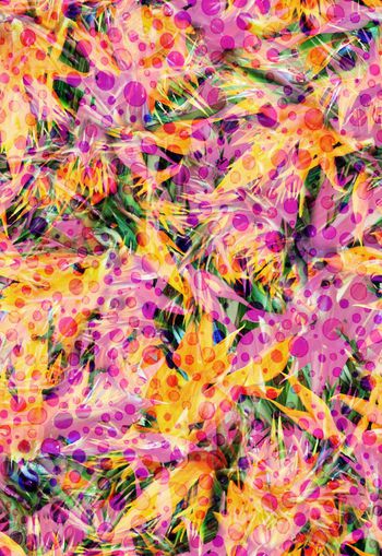 281803-植物天堂鸟乱花花卉波点圆点组合印花