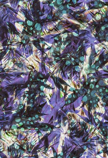 281804-植物天堂鸟乱花花卉波点圆点组合印花