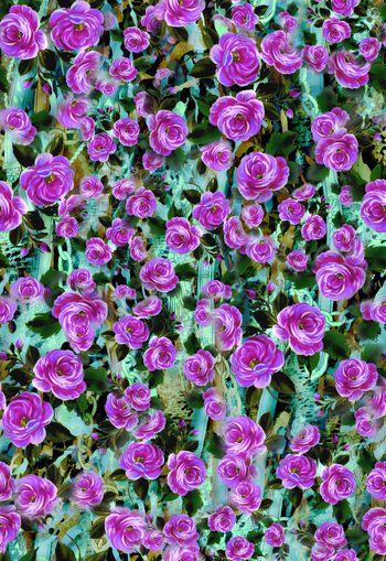 281833-花卉花朵动物纹组合