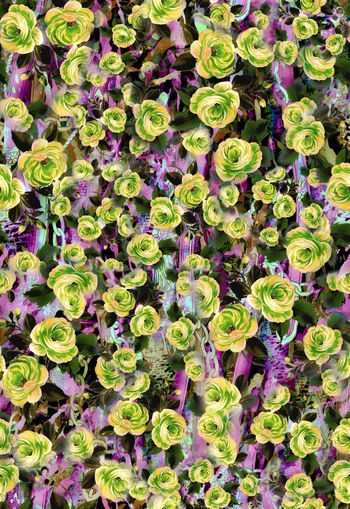 281836-花卉花朵动物纹组合