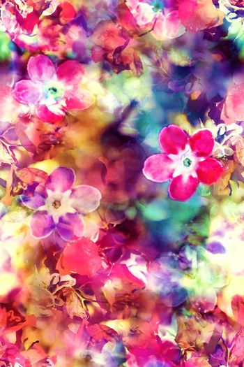 282053-数码多彩花