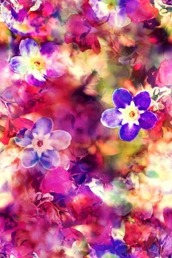 282054-数码多彩花