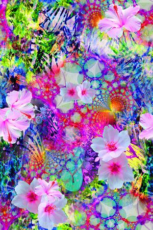 蕾丝印花华亿平台图片