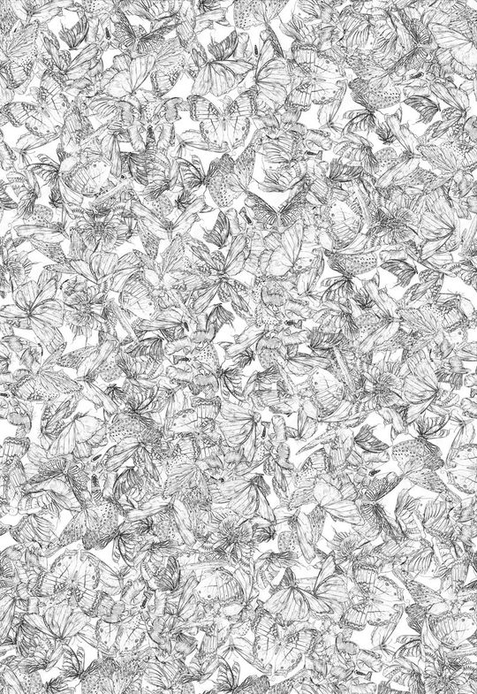 清新印花华亿平台图片