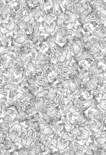 282154-WT236清雅清新满布素描线描蝴蝶