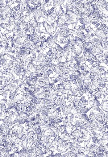 282156-清雅清新满布素描线描蝴蝶乱花