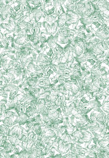 282157-清雅清新满布素描线描蝴蝶乱花