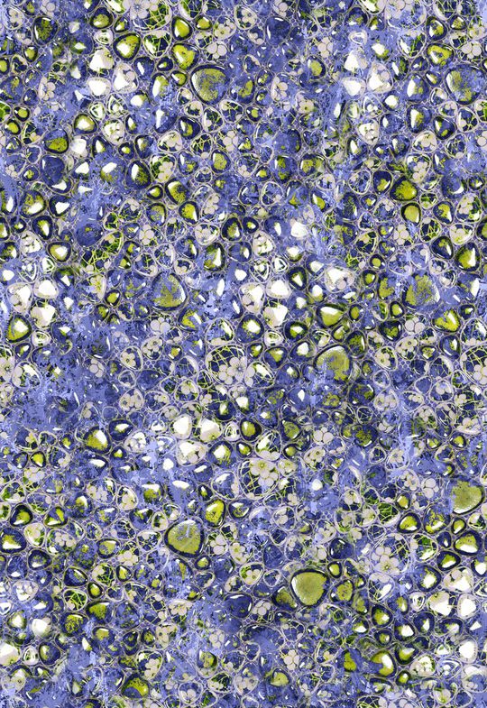 豹纹印花华亿平台图片