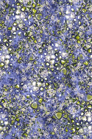 豹纹印花华亿平台图片