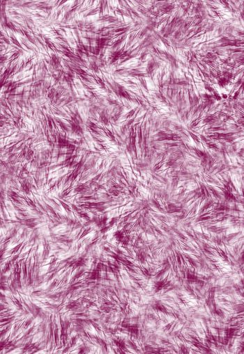 282167-动物纹仿皮毛质感毛绒写实印花