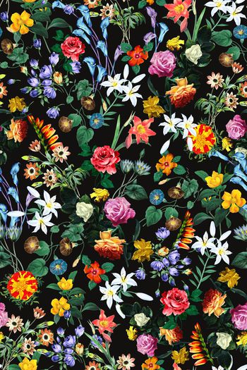 282541-黑底白底花卉百合茶花小花