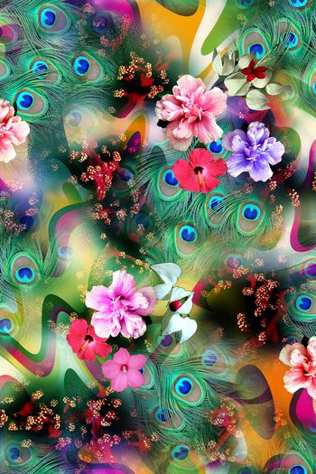 282576-花卉彩色线条孔雀羽毛零星珊瑚