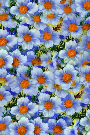 裙衫印花华亿平台图片