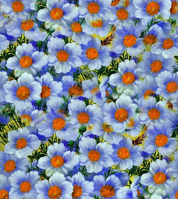 282930-女装数码印花小花组合