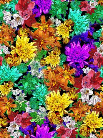 283037-多彩靓丽花卉花朵组合