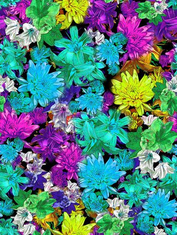 283038-多彩靓丽花卉花朵组合