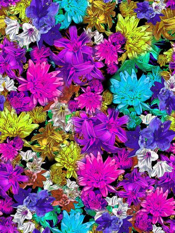 283039-多彩靓丽花卉花朵组合