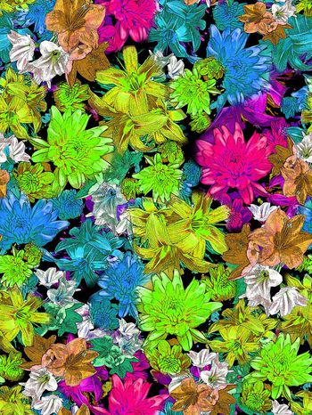 283040-多彩靓丽花卉花朵组合