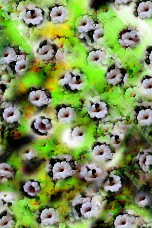 印花华亿平台图片