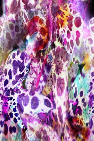 蝴蝶印花华亿平台图片