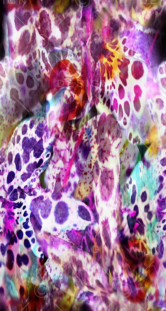 蝴蝶印花华亿平台图片