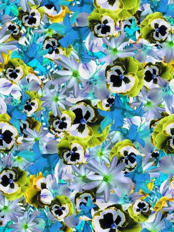 283411-多彩花卉花朵组合