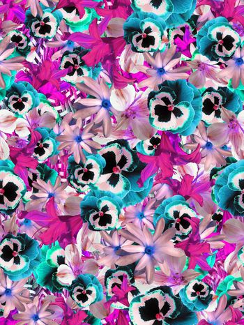 283412-多彩花卉花朵组合