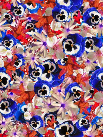 283413-多彩花卉花朵组合