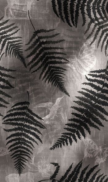 283454-植物叶子－140086P-A