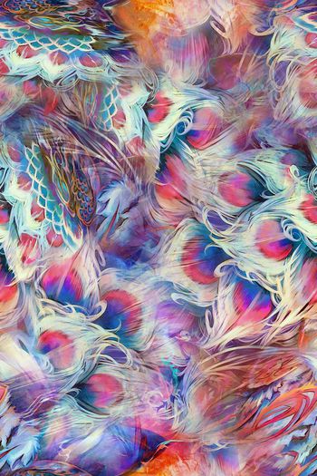 283487-插画系凤凰羽