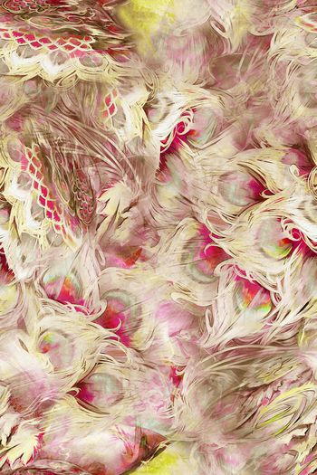 283488-插画系凤凰羽