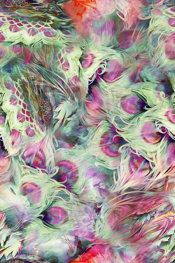 283489-插画系凤凰羽