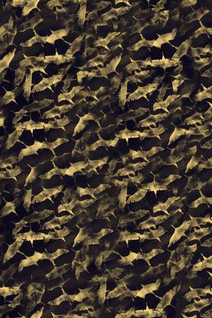 休闲印花华亿平台图片