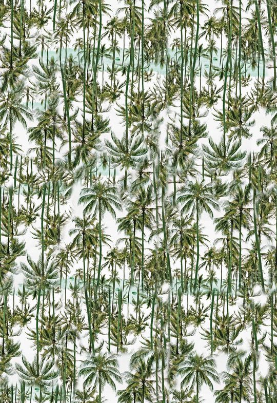 椰子树印花华亿平台图片