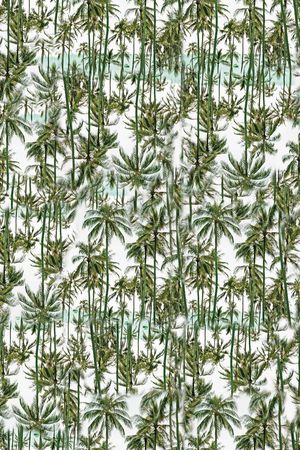 椰子树印花华亿平台图片