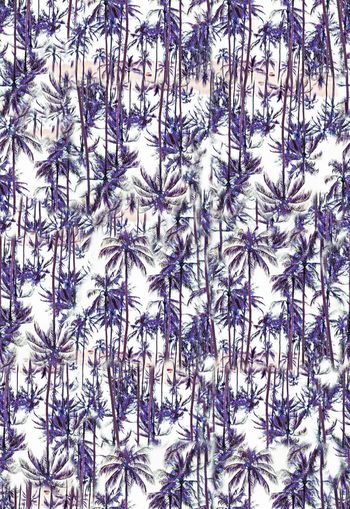 283514-度假夏日风情椰树夏威夷风男装女装印