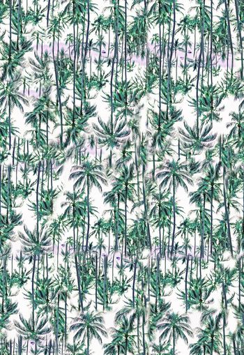 283515-度假夏日风情椰树夏威夷风男装女装印