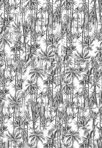 283516-度假夏日风情椰树夏威夷风男装女装印