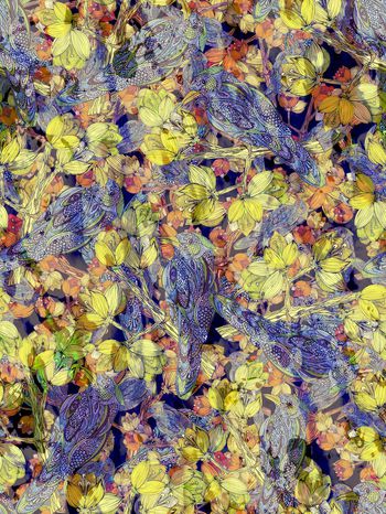 284083-线条鸟花卉插画风格