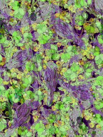 284085-线条鸟花卉插画风格