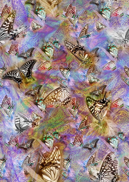 蝴蝶印花华亿平台图片