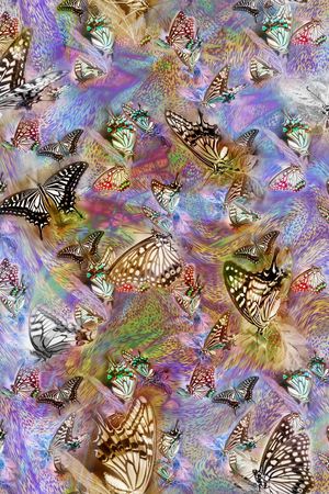 蝴蝶印花华亿平台图片