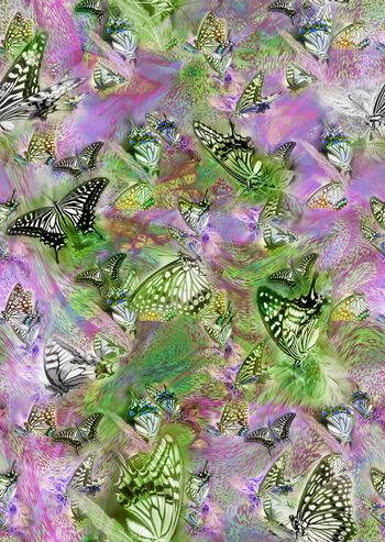 284105-蝴蝶动物光感底纹组合