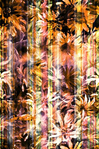 284188-条纹水粉花