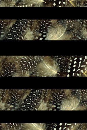 豹纹印花华亿平台图片