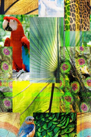 热带印花华亿平台图片