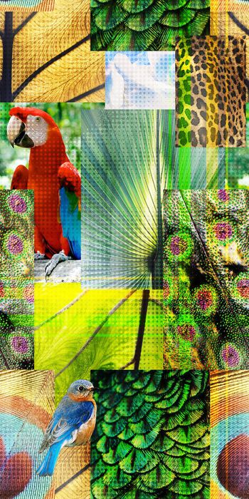 热带印花华亿平台图片