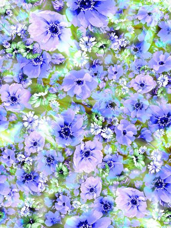 284793-多彩花卉花朵组合