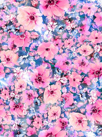 284794-多彩花卉花朵组合