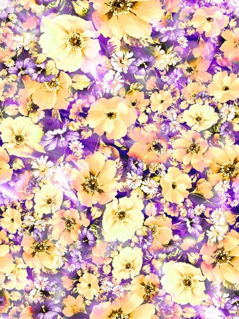 284795-多彩花卉花朵组合